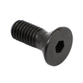 Cummins Flathead Screw