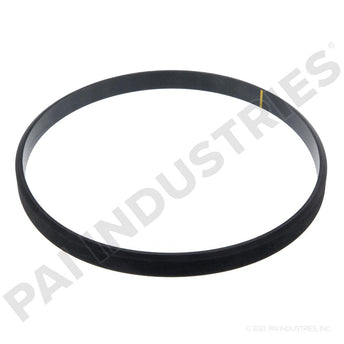 121263 Cummins Rectangular Sealing Ring | PAI
