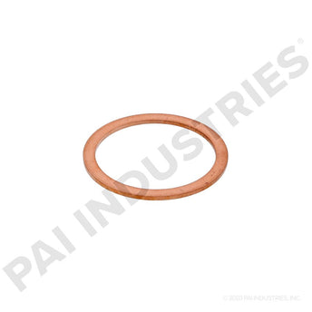 136098 Cummins Washer | PAI