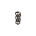 Cummins L10 / M11 / ISM Valve Spring