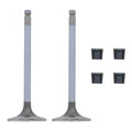 Cummins B 5.9 NATURAL GAS / 4B 3.9 / 6B 5.9 Intake Valve