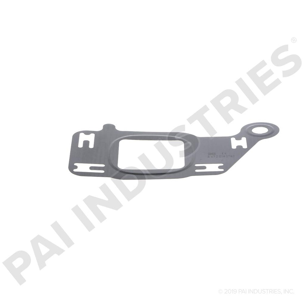 OIL GASKET