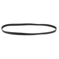 Eight-Rib Serpentine Belt, PAI (OEM 21460409), Pack of 1