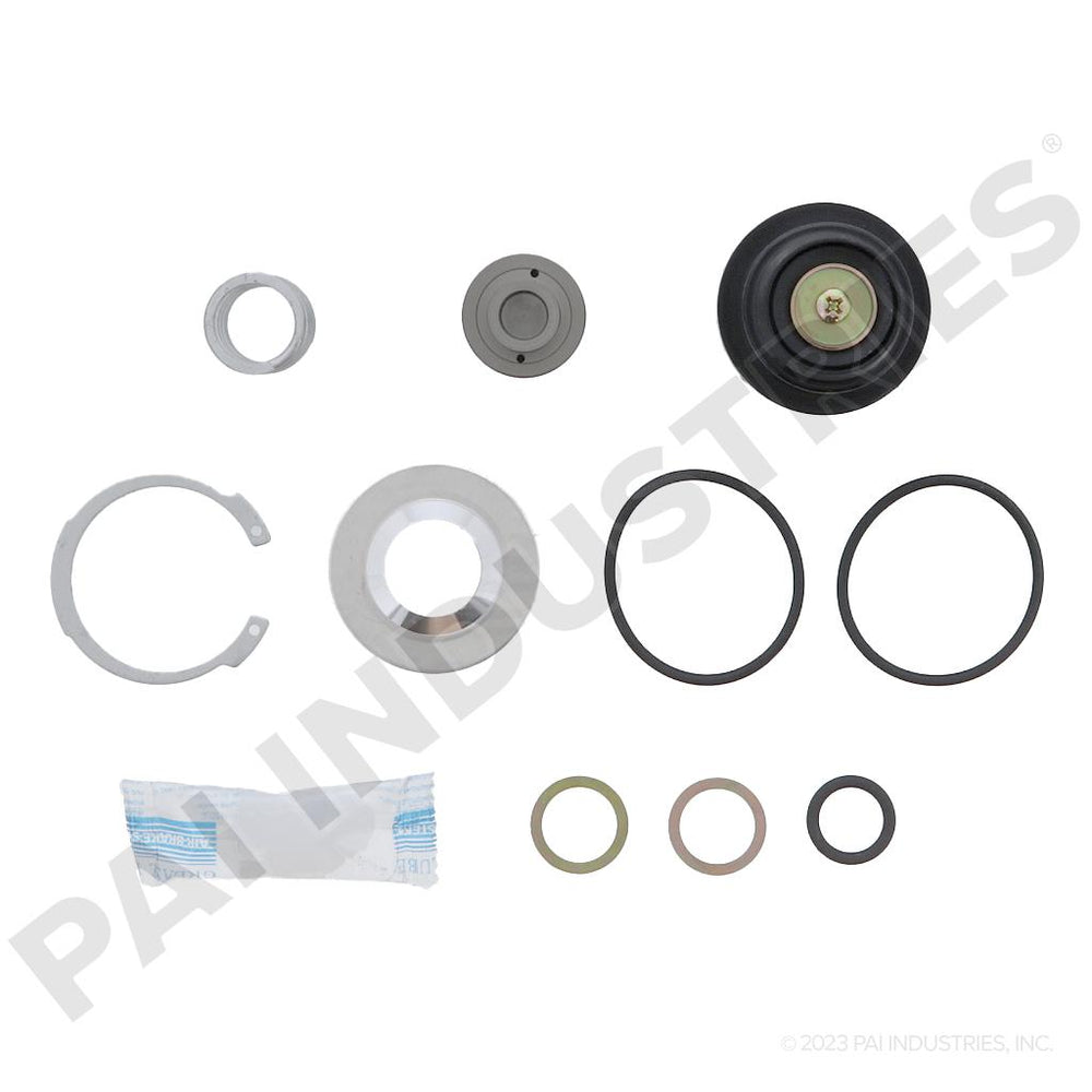 PURGE VALVE KIT