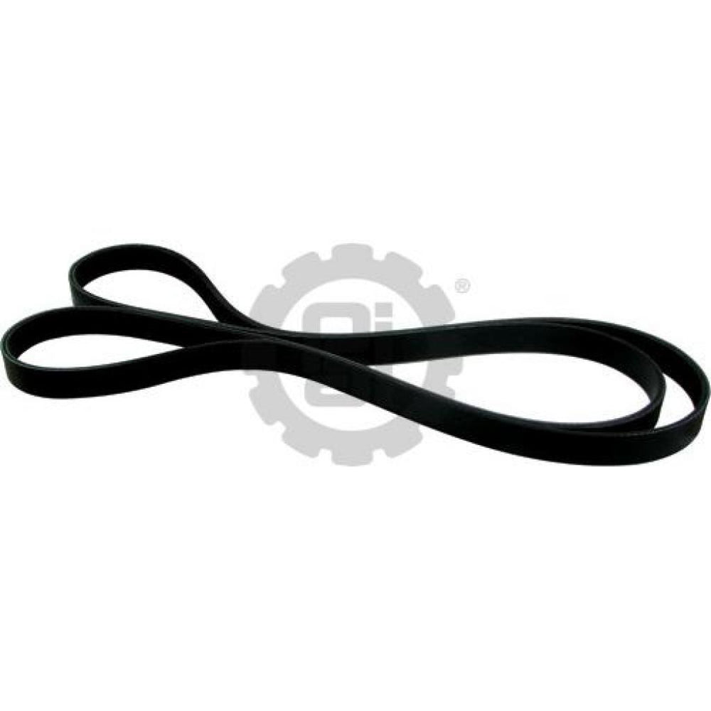 SERPENTINE BELT