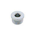 PIPE PLUG