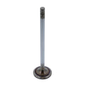 INTAKE VALVE (Pack of 2)