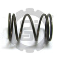 Plunger Spring for ESP-3597, PAI (OEM 79-SP400708), Pack of 6