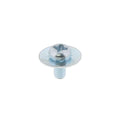 SCREW (Pack of 10)