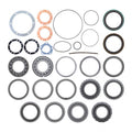 BEARING AND SEAL KIT