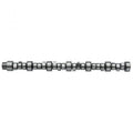 Caterpillar 3116 Camshaft, PAI (OEM 1006298), Pack of 1
