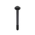 Cummins Screw