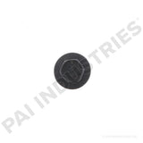 040079 Cummins Screw | PAI