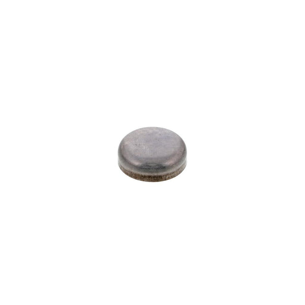 EXPANSION PLUG