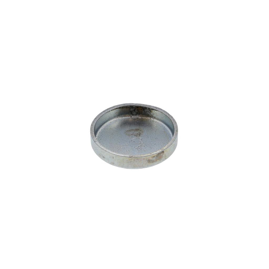 040087 Caterpillar / International 3300 / DT466 / DT360 Cup Plug