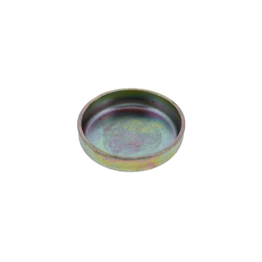 040092 Cummins Cup Plug
