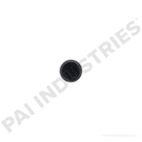 040110 Cummins Stud | PAI