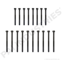 CAPSCREW