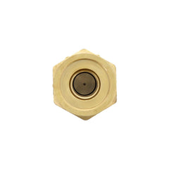 FUEL CHECK VALVE