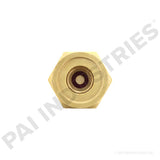 042210 Cummins Fuel Check Valve | PAI