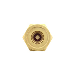 FUEL CHECK VALVE