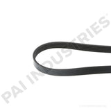 050469 Cummins Serpentine Belt | PAI