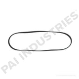 050469 Cummins Serpentine Belt | PAI