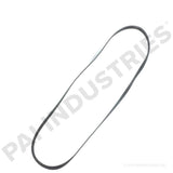 050471 Cummins Serpentine Belt | PAI