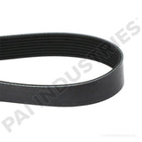 050472 Cummins Serpentine Belt | PAI