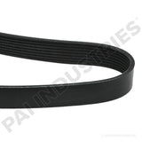 050473 Cummins Serpentine Belt | PAI