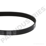 050484 Cummins Serpentine Belt | PAI