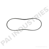 050484 Cummins Serpentine Belt | PAI