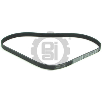 050488 Cummins Serpentine Belt | PAI