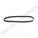 050488 Cummins Serpentine Belt | PAI