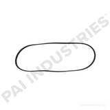 050488 Cummins Serpentine Belt | PAI