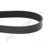050489 Cummins Serpentine Belt | PAI