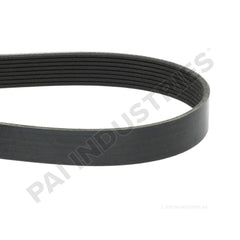 050489 Cummins Serpentine Belt | PAI | JAK's Diesel