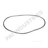 050489 Cummins Serpentine Belt | PAI