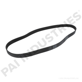 050490 Cummins Serpentine Belt | PAI