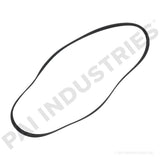 050490 Cummins Serpentine Belt | PAI
