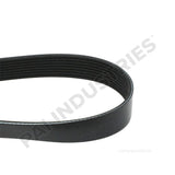 050491 Cummins Serpentine Belt | PAI
