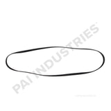 050491 Cummins Serpentine Belt | PAI