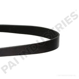 050493 Cummins Serpentine Belt | PAI