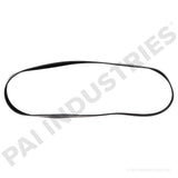 050493 Cummins Serpentine Belt | PAI