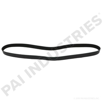 050494 Cummins Serpentine Belt | PAI