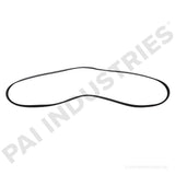 050494 Cummins Serpentine Belt | PAI