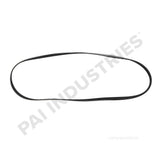 050496 Cummins Serpentine Belt | PAI