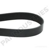 050497 Cummins Serpentine Belt | PAI
