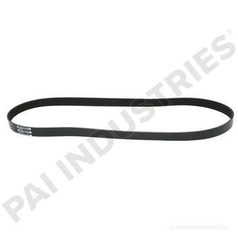 050498 Cummins Serpentine Belt | PAI
