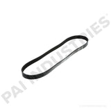 SERPENTINE BELT